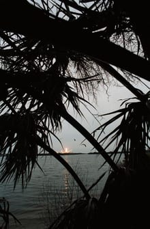 View of the shuttle Discovery on the launch pad just prior to STS 51-D launch
